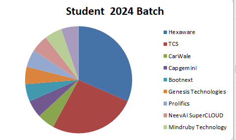 Placement 2024 graph